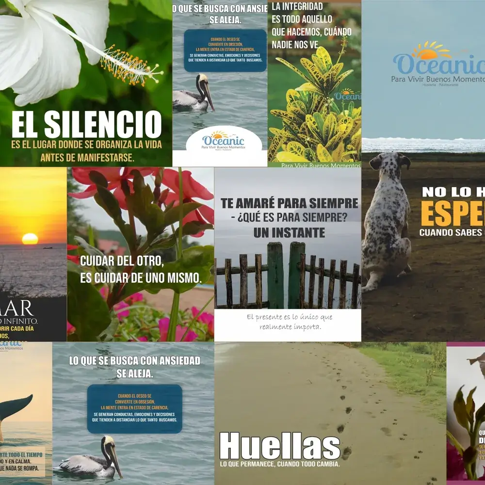 Camino de arena hacia el mar con frase sobre llegar buscando respuestas