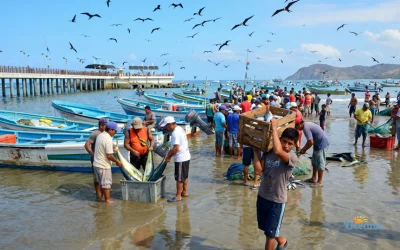 Pesca artesanal en el muelle de Puerto López, Manabí, Ecuador